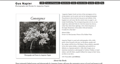 Desktop Screenshot of gusnapier.com