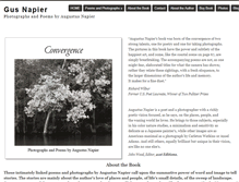 Tablet Screenshot of gusnapier.com